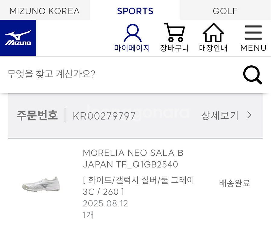 미즈노 모렐리아 살라 제펜--2