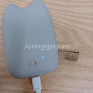토토로 보조배터리