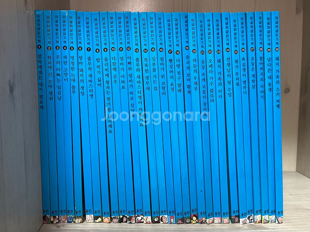 웅진다책 와글와글 그림읽기책--1