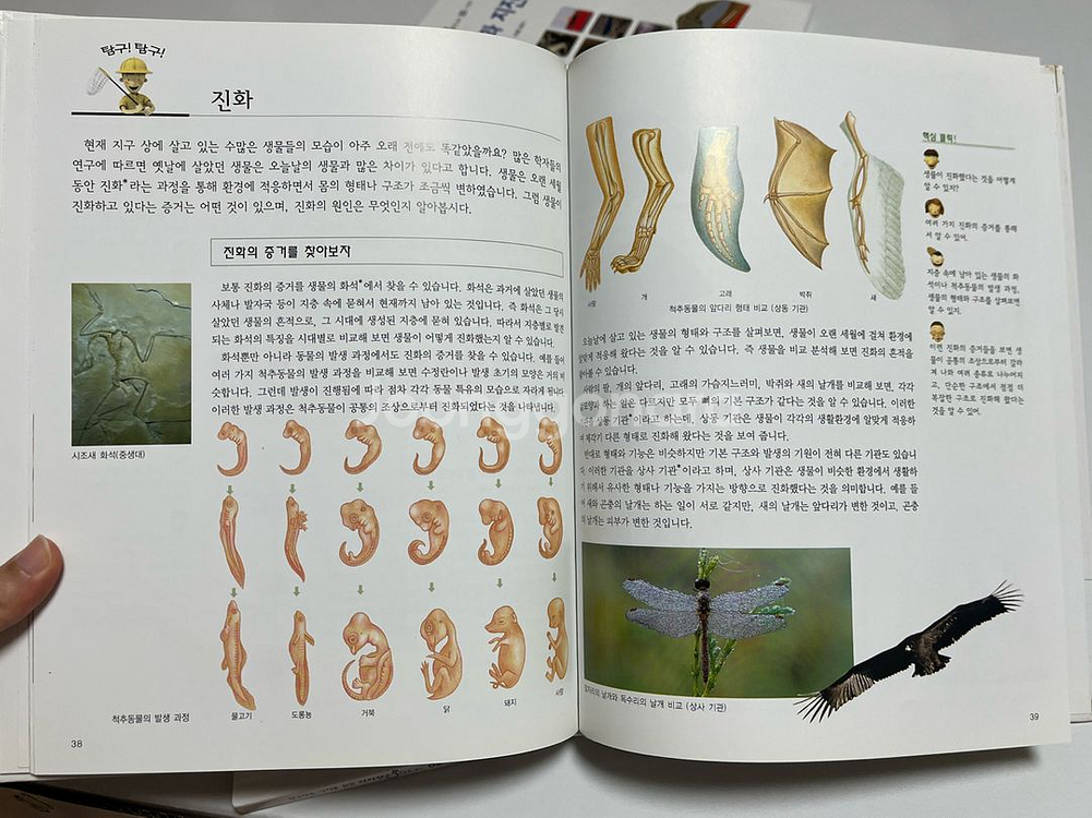 교원 사이언스 프랜드 전집--4
