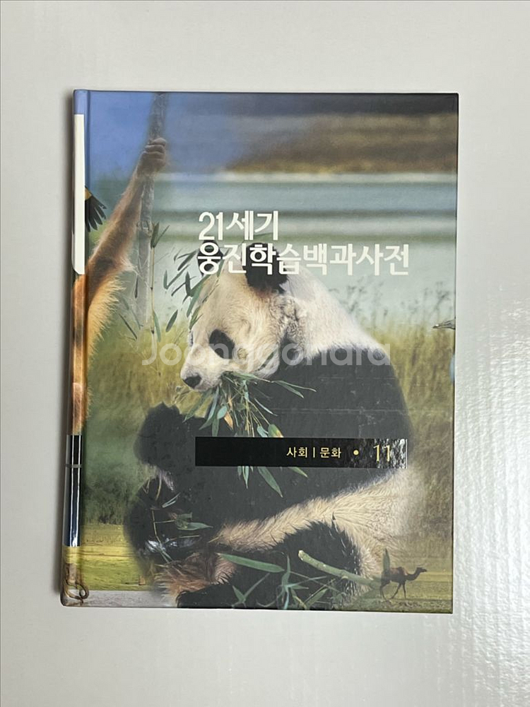 21세기 웅진학습백과사전 전집--3