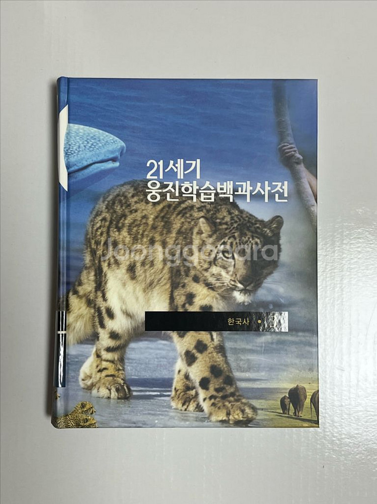 21세기 웅진학습백과사전 전집--1