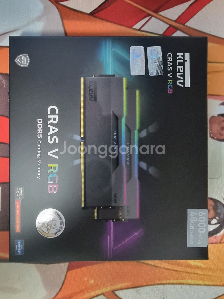 클레브 DDR5 6000 cl30 24GBx2 팝니다.--0
