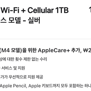 아이패드 프로 13 Cellular 1TB