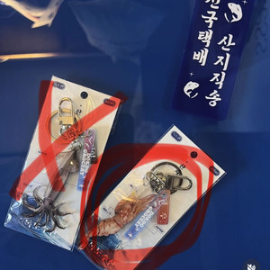 독도새우 키링