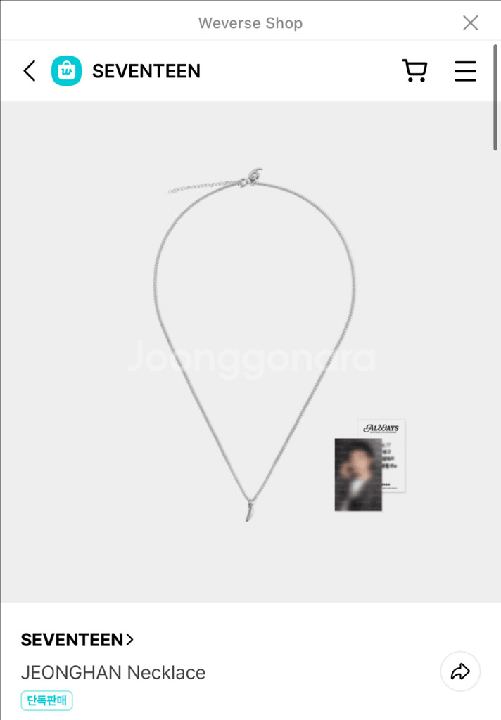 세븐틴 9주년 정한 목걸이 정한 포카 양도--0