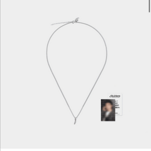 세븐틴 9주년 정한 목걸이 정한 포카 양도