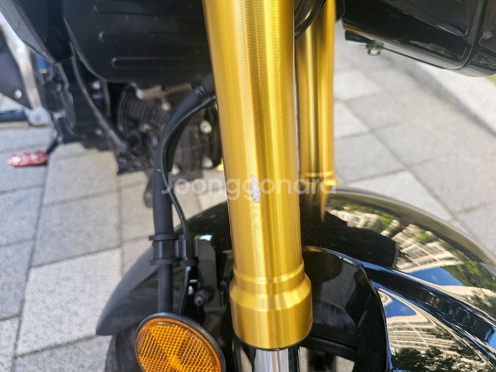 msx125 그롬(2023)--2