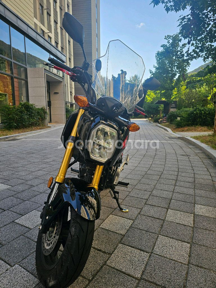 msx125 그롬(2023)--6