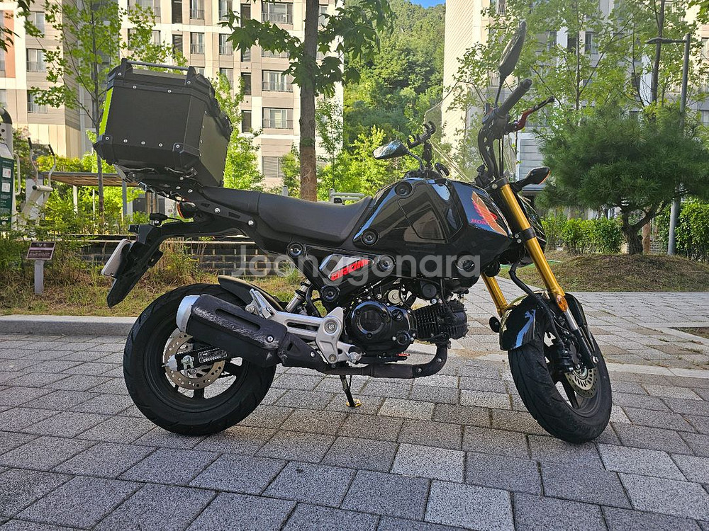 msx125 그롬(2023)--7