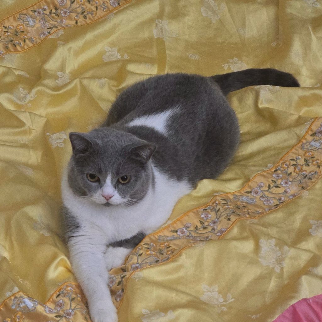 profile-image