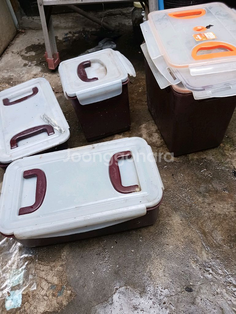 김치통 여러개 처분--0