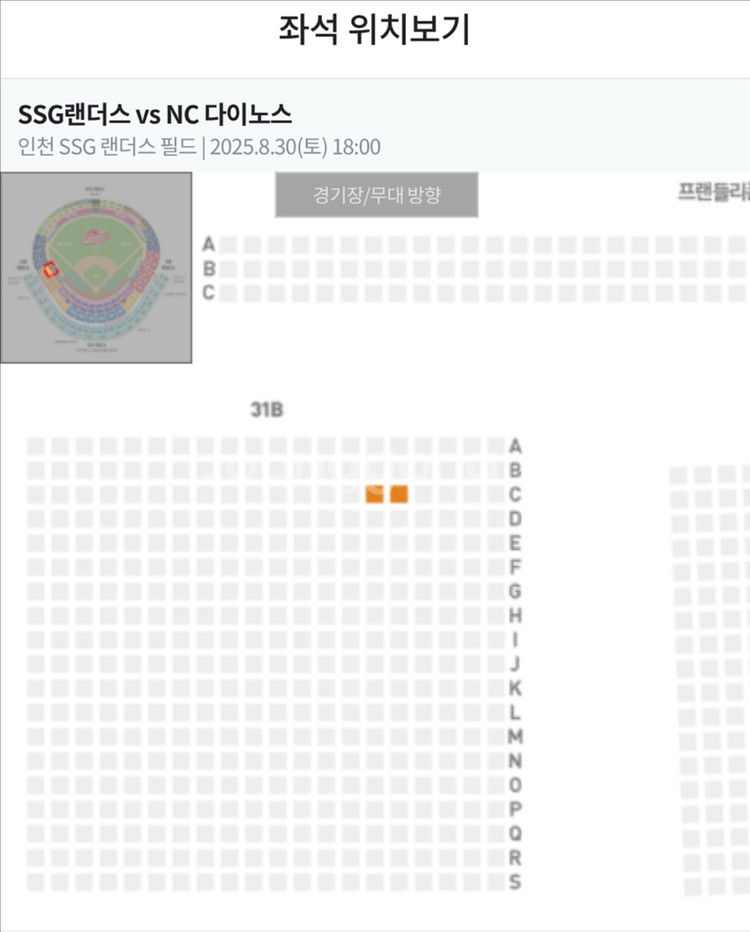 (정가이하) 8월 30일 SSGvsNC 원정응원석--0