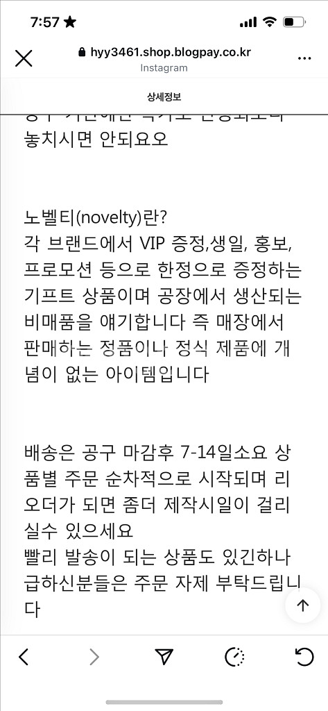 메쉬쇼퍼백--4