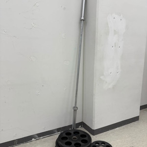 플러그피트니스 중량봉 20kg (최대중량 900kg)