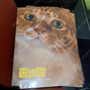 좀비딸 영화 특전 애용이 포스터