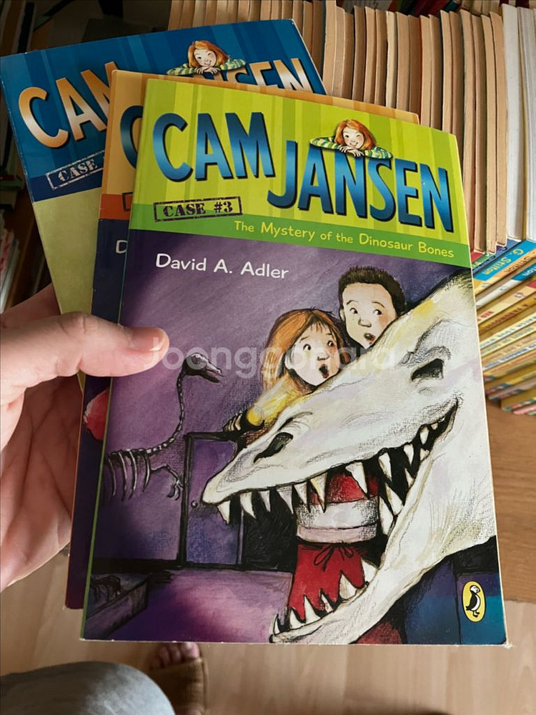 cam jansen 캠 젠슨 챕터북 34권--0