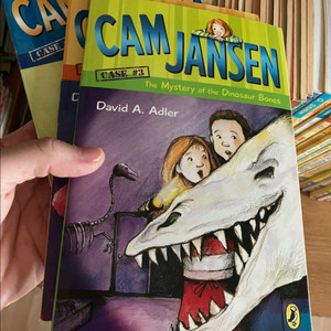 cam jansen 캠 젠슨 챕터북 34권