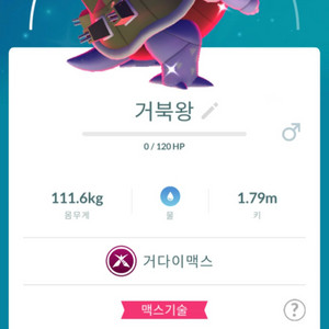 포켓몬고 거다이맥스 이로치 거북왕 판매