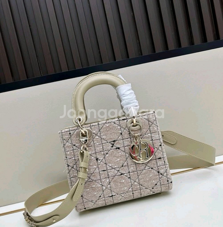 Christian Dior 레이디 디올백--0