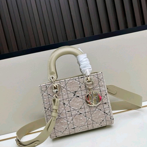Christian Dior 레이디 디올백