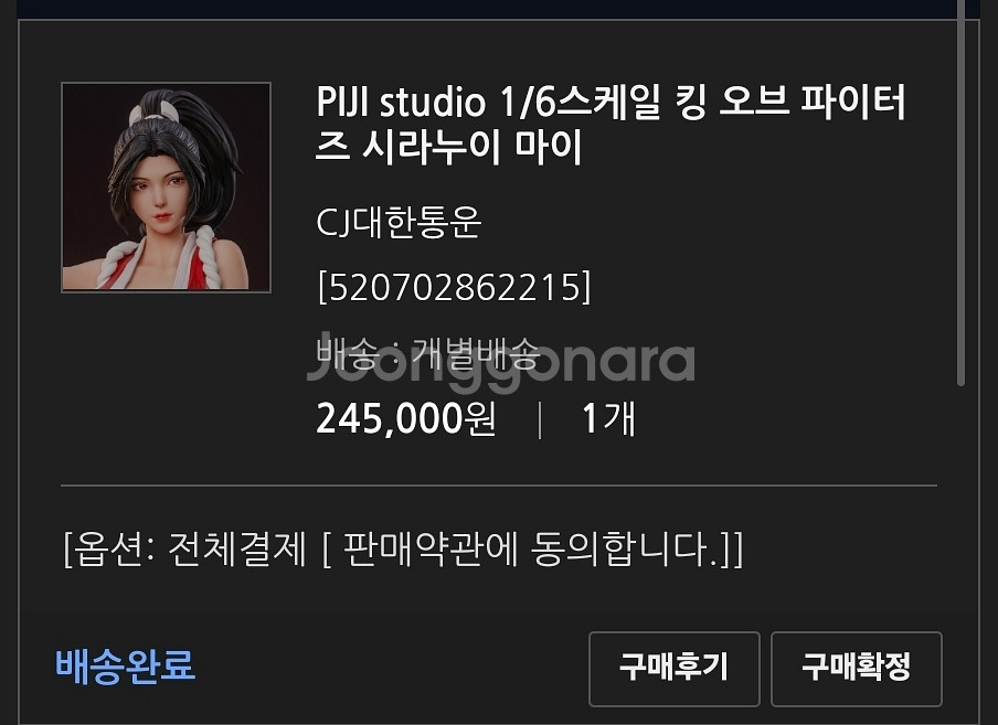 피규어 PIJI studio 1/6 마이 미개봉 판매--0