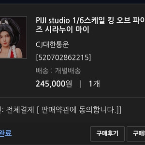 피규어 PIJI studio 1/6 마이 미개봉 판매