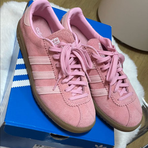 아디다스 버뮤다핑크 220