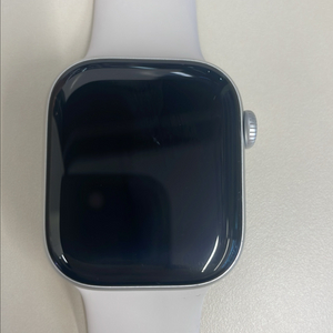 애플워치10 GPS 셀룰러