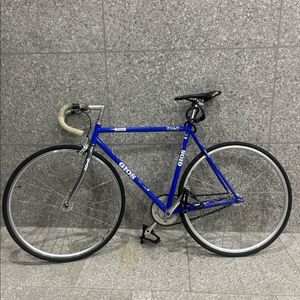 지오스 스틸로 경륜픽시