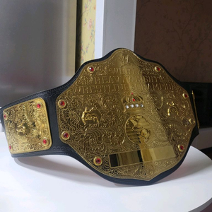 wwe 월드 챔피언 벨트