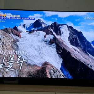 lg oled tv 48인치