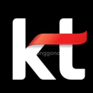 kt 데이터 2기가
