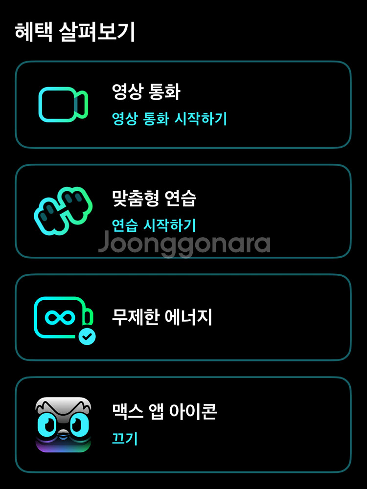 듀오링고 맥스 1년 구독--1