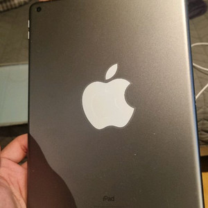 아이패드 9세대 256기가 s급 펜슬포함