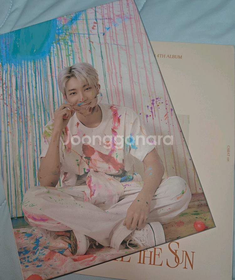 세븐틴 face the sun ver.CARAT 원우--0