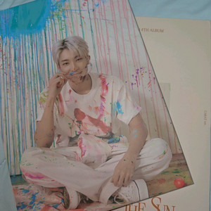 세븐틴 face the sun ver.CARAT 원우