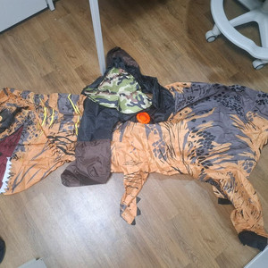 공룡 풍선옷 코스프레