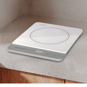 러셀홉스 인덕션 1구