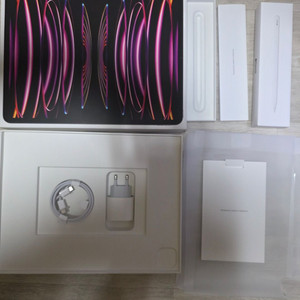Apple iPad Pro 12.9 6세대 (M2칩)