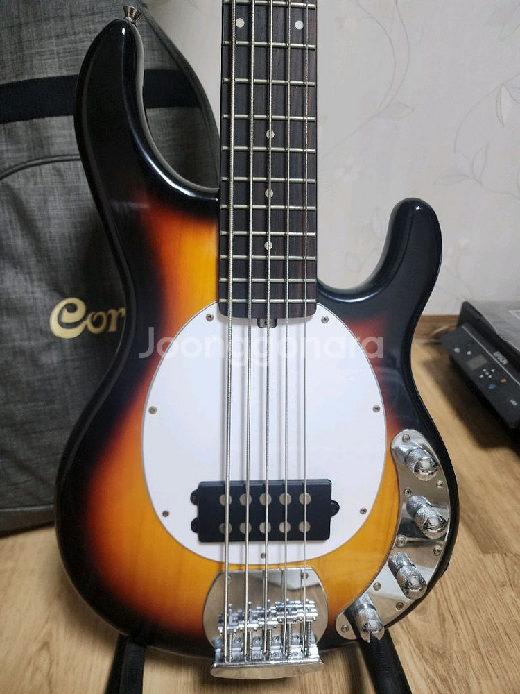 tagima TBM 5 5현 베이스 기타--0