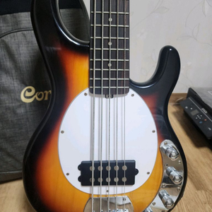 tagima TBM 5 5현 베이스 기타