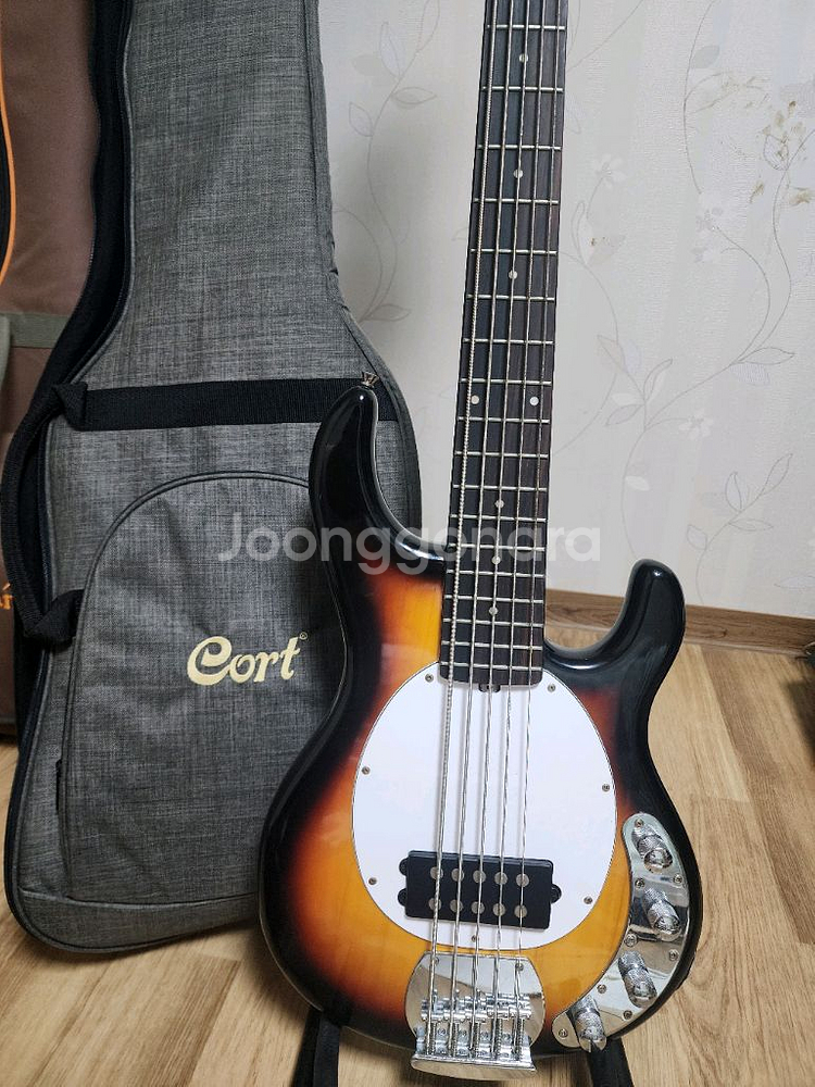 tagima TBM 5 5현 베이스 기타--3