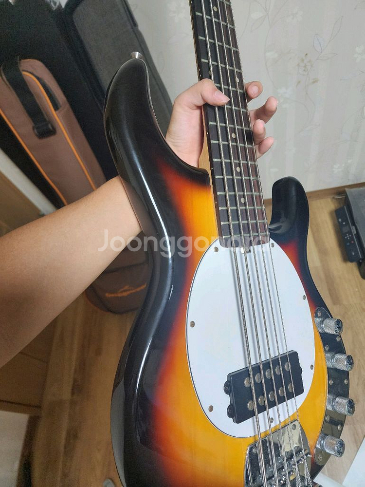 tagima TBM 5 5현 베이스 기타--2