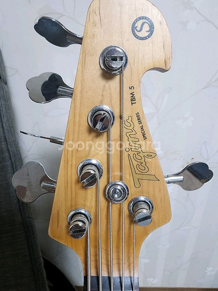 tagima TBM 5 5현 베이스 기타--1