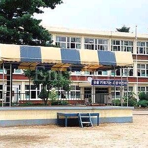 춘천 소양초등학교 65회 졸업앨범 구합니다