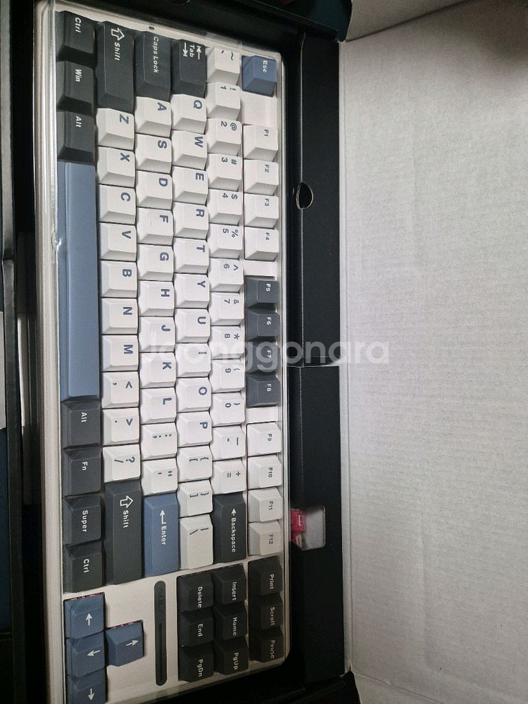 독거미f87 pro 황축(직구)--1