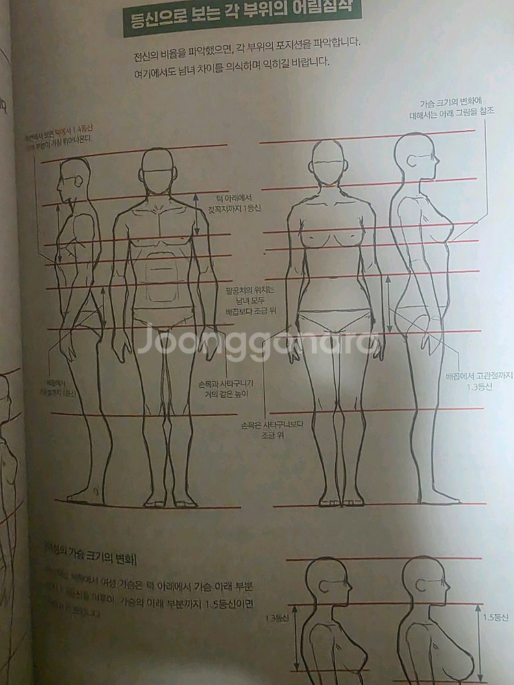 포즈의 정리--1