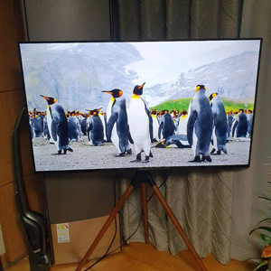 55인치 티비 모니터 UHD TV 4K HDR10 거의