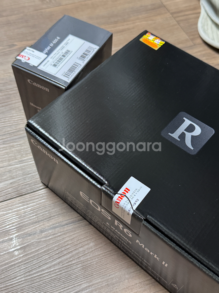 캐논 r6 mark2 + EOS R 마운트 어댑터--8